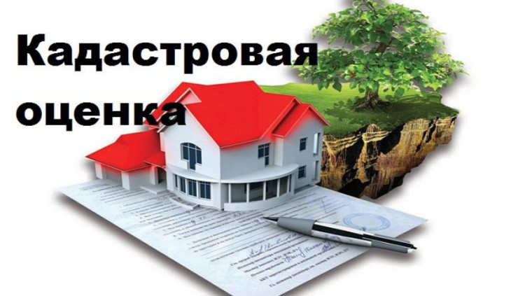 государственная кадастровая оценка. государственная кадастровая оценка.
